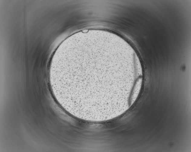 X0000114411467200911271515