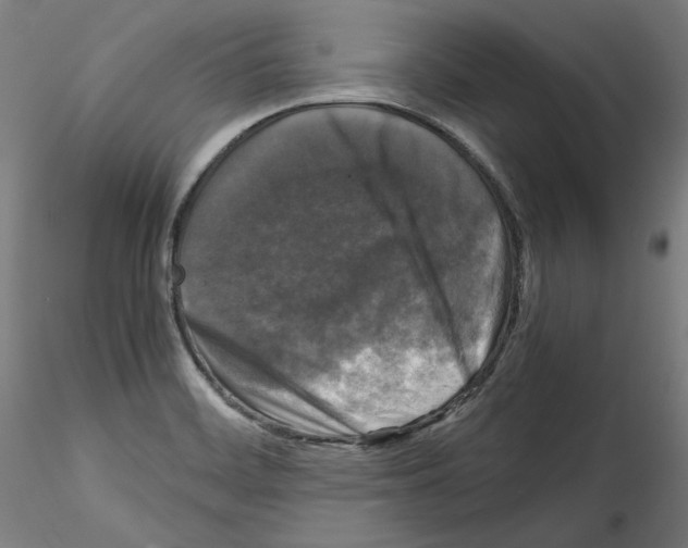 X0000114411468200911271515