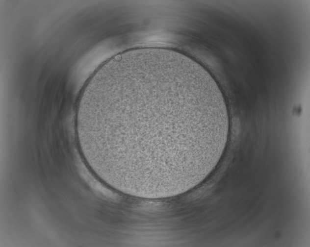 X0000114411470200911271515