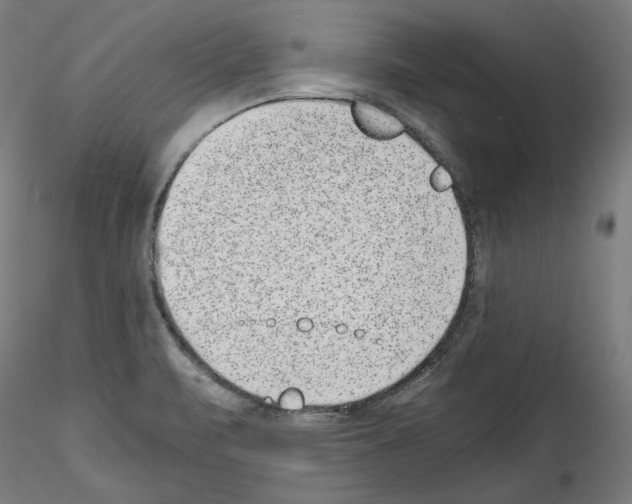 X0000114411471200911271515