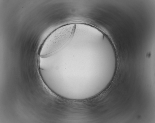 X0000114411472200911271515