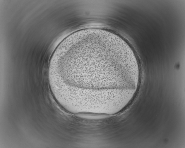 X0000114411473200911271515