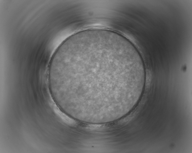 X0000114411474200911271515