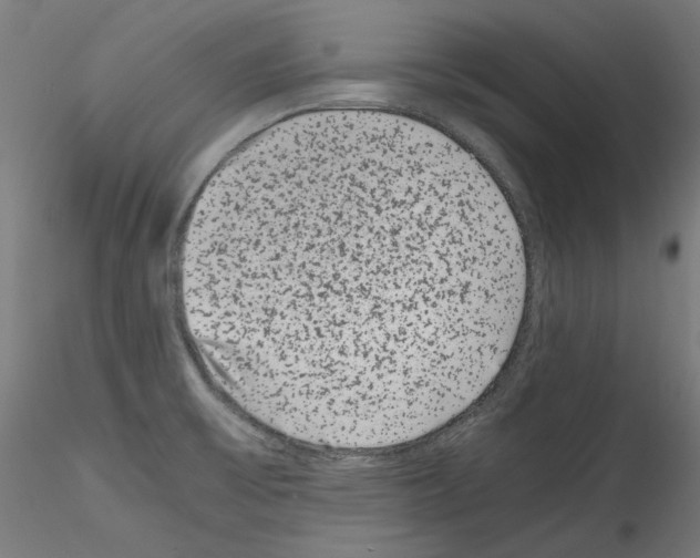 X0000114411475200911271515