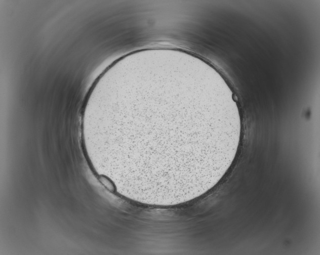 X0000114411476200911271515