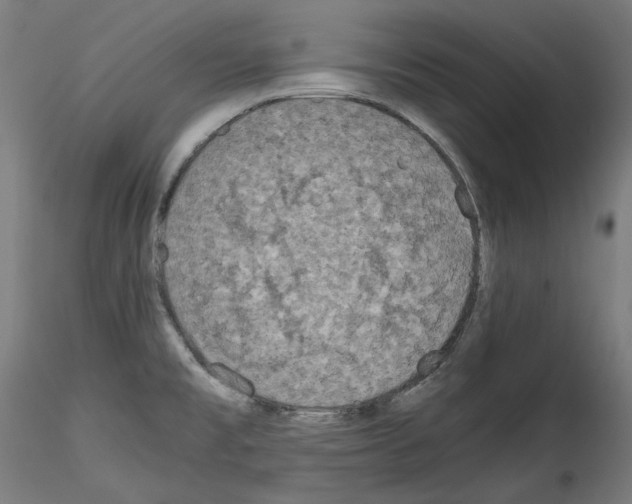 X0000114411477200911271515