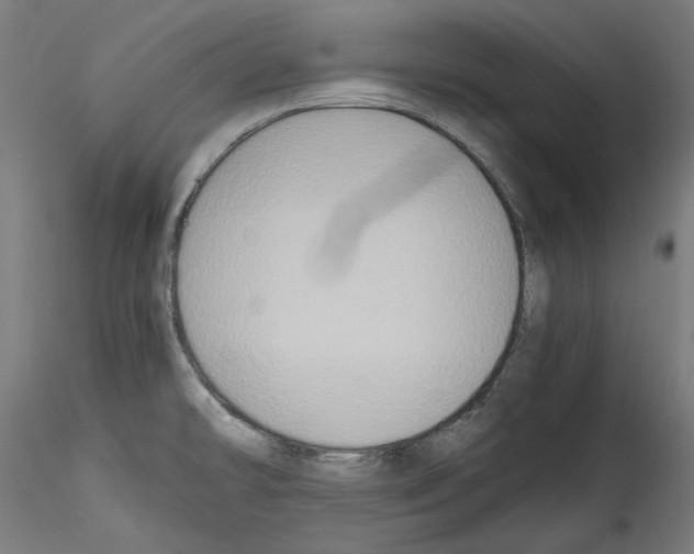 X0000114411478200911271515