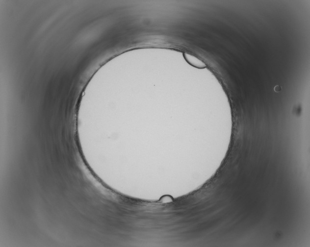 X0000114411479200911271515