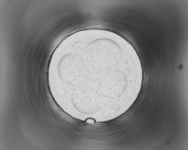 X0000114411483200911271514