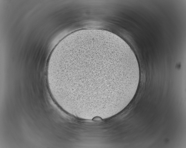 X0000114411487200911271514