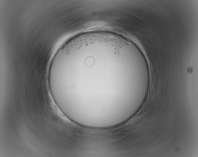 X0000114411488200911271514