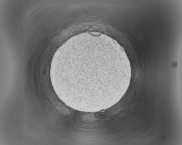 X0000114411489200911271514