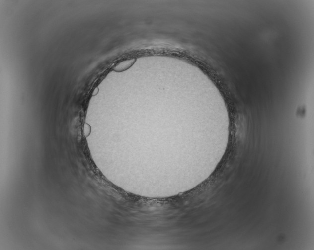 X0000114411493200911271514