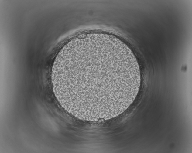 X0000114411494200911271514