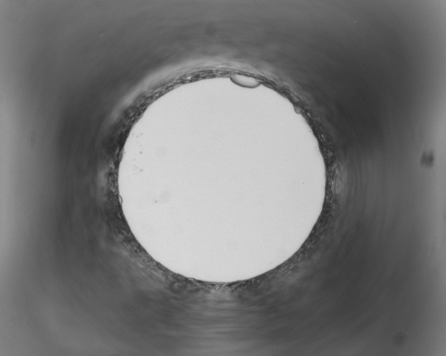 X0000114411495200911271514