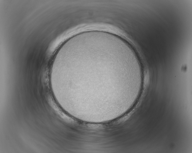 X0000114411498200911271514