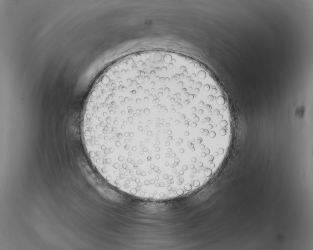 X0000114411499200911271514