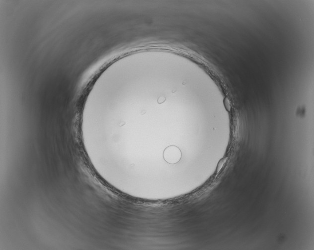 X0000114411502200911271514