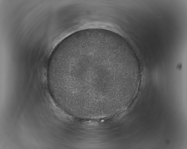 X0000114411505200911271514