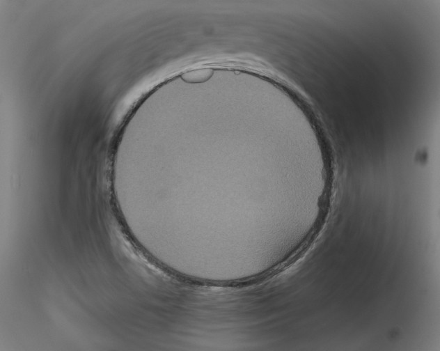 X0000114411506200911271514