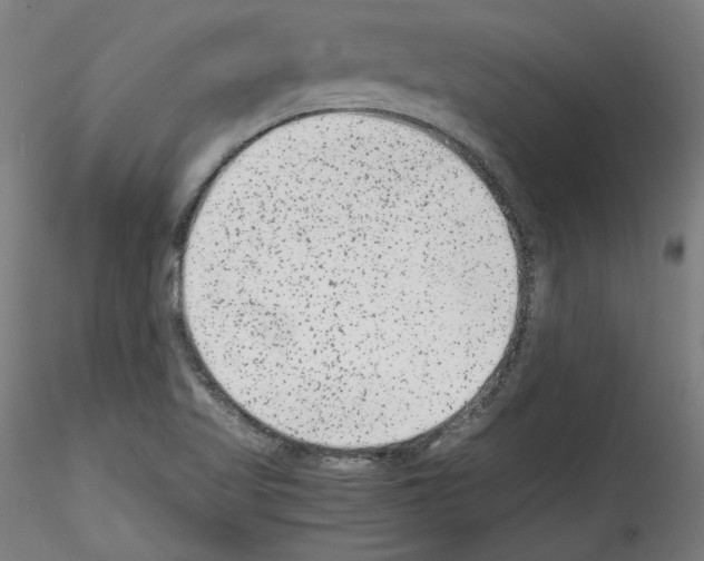 X0000114411509200911271514