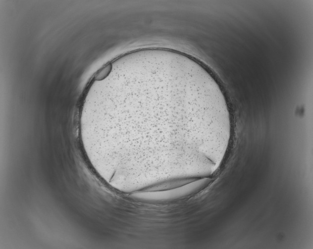 X0000114411510200911271514