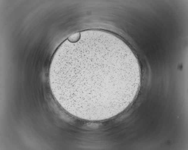 X0000114411513200911271514