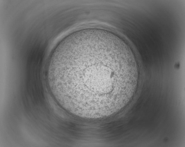 X0000114411514200911271514