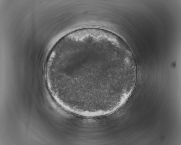 X0000114411515200911271514