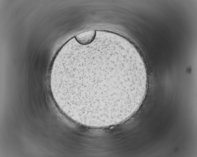 X0000114411517200911271514