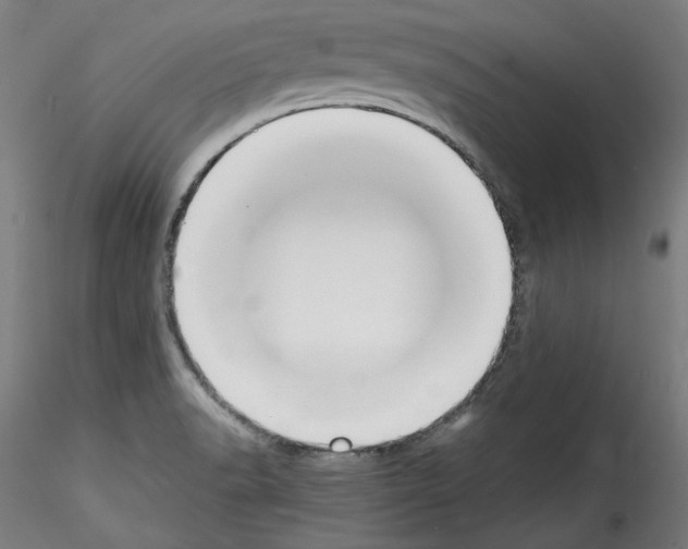 X0000114411518200911271514