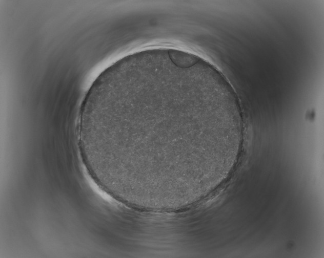 X0000114411519200911271514