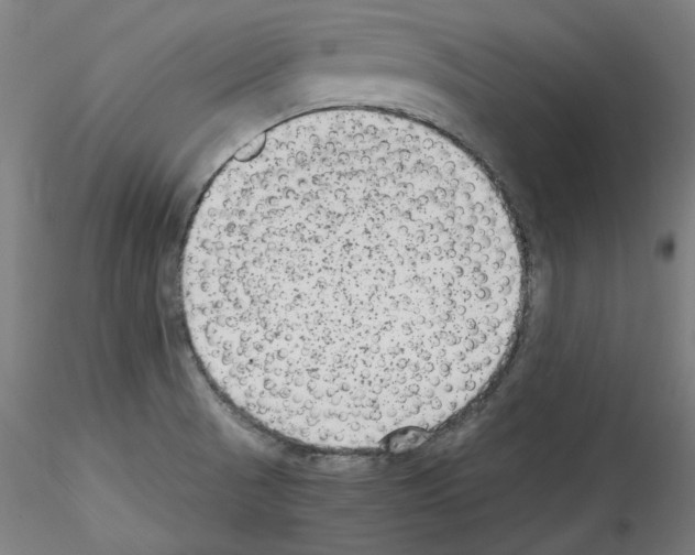 X0000114411521200911271514