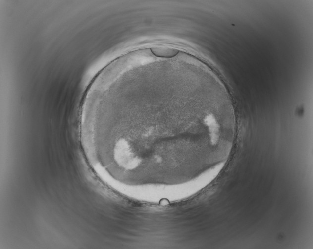 X0000114411522200911271514