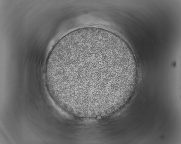 X0000114411525200911271514