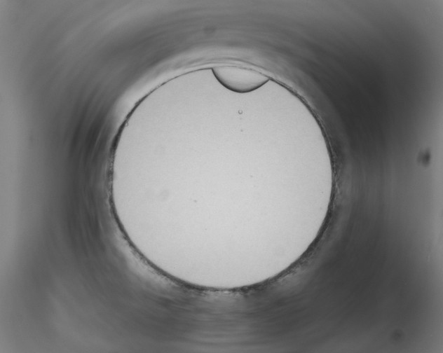 X0000114411526200911271514