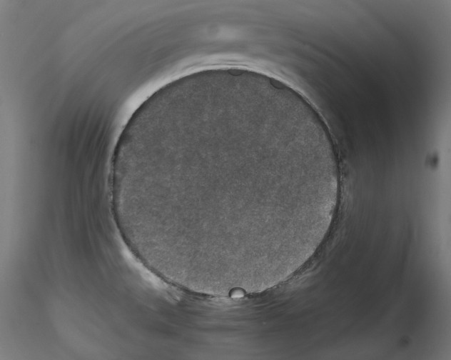 X0000114411527200911271514