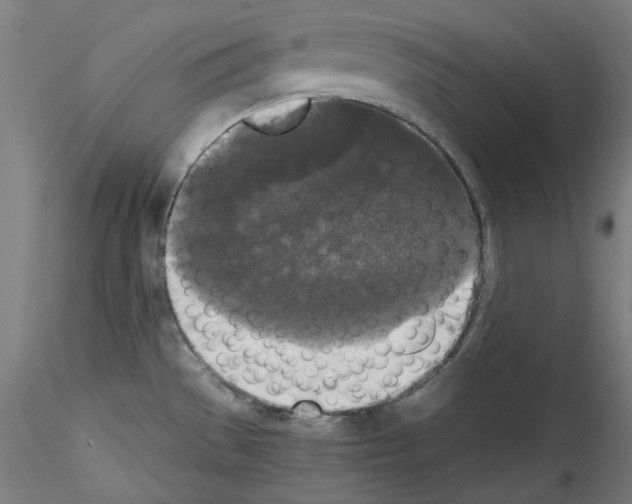 X0000114411529200911271514