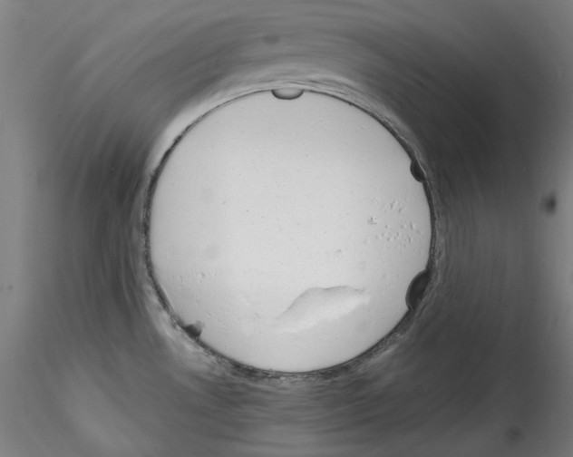 X0000114411530200911271514