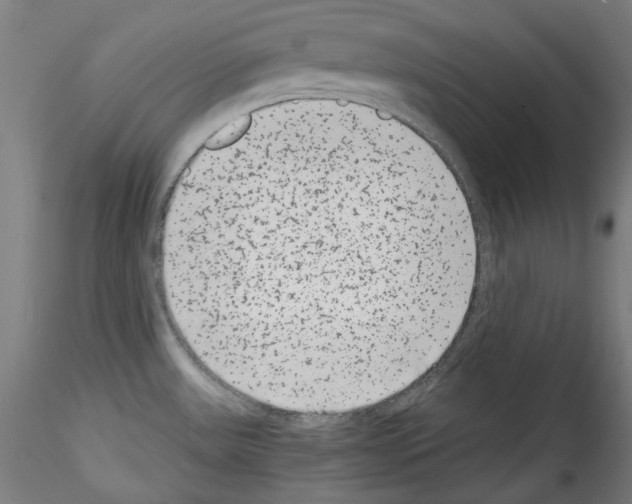 X0000114411531200911271514