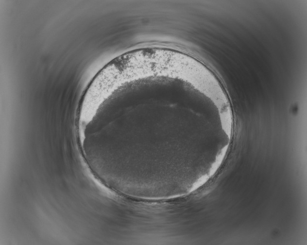 X0000114411533200911271514