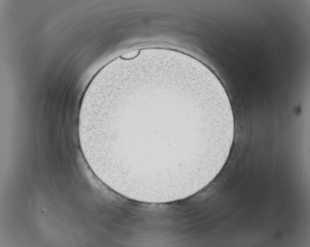 X0000114411534200911271514