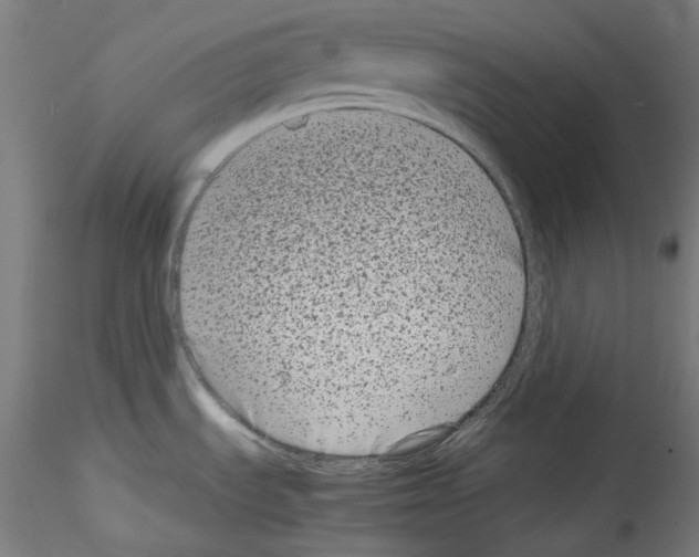 X0000114411535200911271514