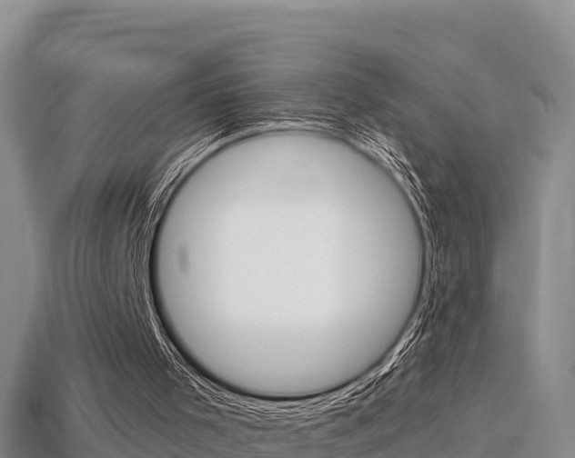 X0000114420001200910161104