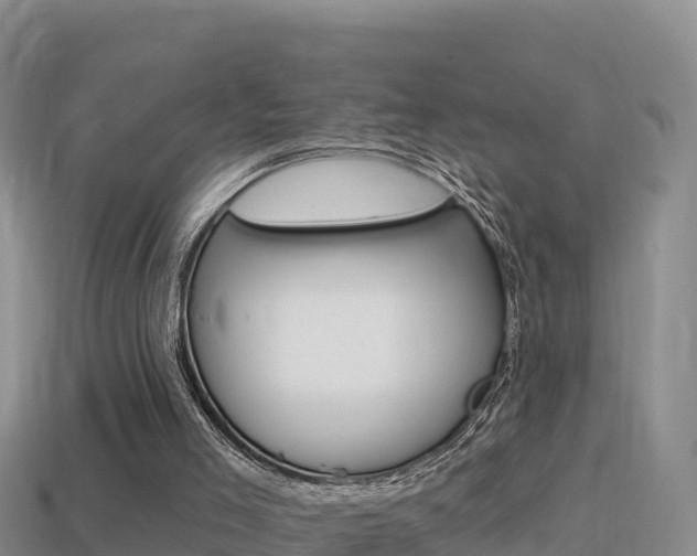 X0000114420005200910161104