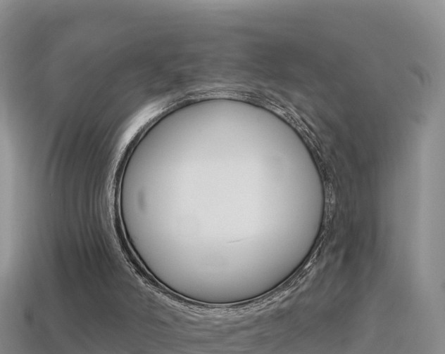X0000114420006200910161104