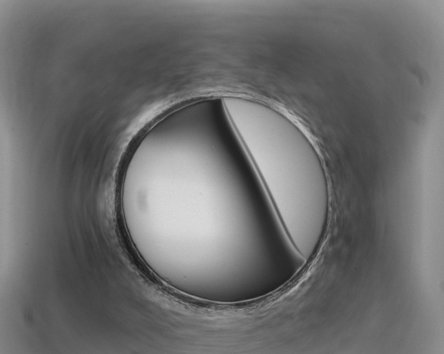 X0000114420008200910161104