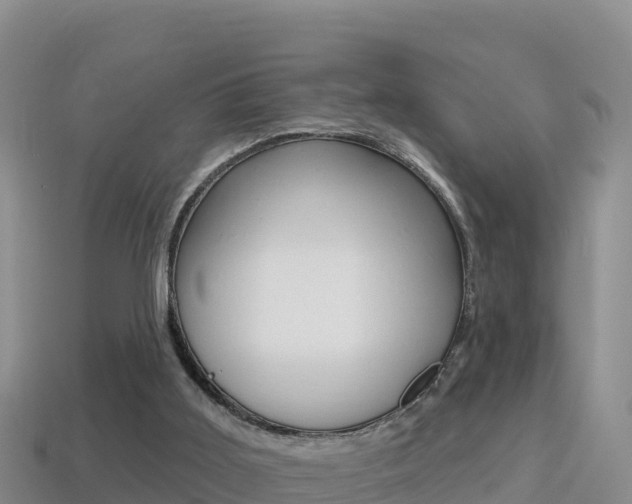 X0000114420011200910161104