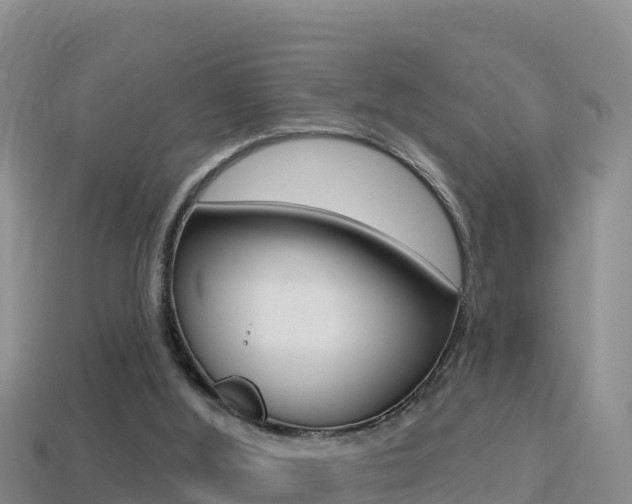 X0000114420012200910161104