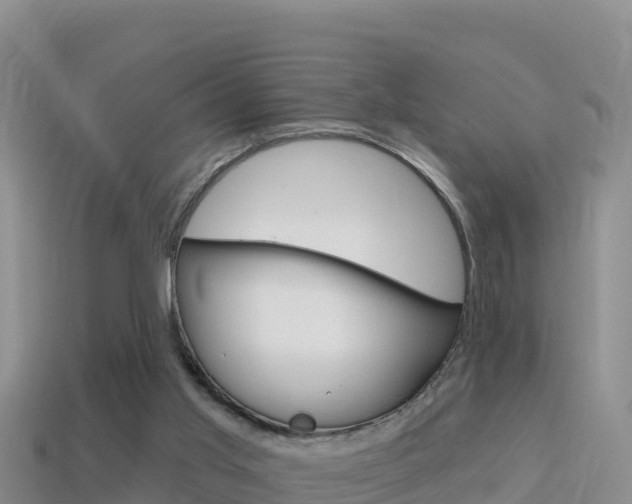 X0000114420013200910161104